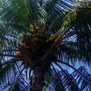 Meet your Posher, Morales